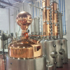 500L elettrico/rame riscaldato a vapore 45% 55% 95% Vodka Gin Brand Rum Whisky Attrezzatura per la distillazione Macchina per distilleria