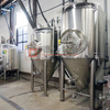 Serbatoio di fermentazione a fondo conico da 400 litri per la fermentazione della birra e il fermentatore a forma conica di maturazione in vendita