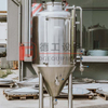Nano chiavi in ​​mano 3.5BBL Beer Brewery Equipment Sistema di birrificio a 2 vasi con riscaldamento elettrico Fermentatore a piastra conica con fossetta in vendita