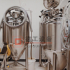Vendita calda 200L 300L 400L Giacca professionale per attrezzatura da birra Attrezzatura personalizzata per la produzione di birra per pub/hotel