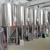 Sistema di produzione di birra commerciale 600L di controllo PLC americano a 2 navi per la produzione di birra in vendita