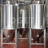 400L Ristorante/hotel usato piccolo kit per la produzione di birra in casa Microbirrificio Serbatoi per birrificio di birra