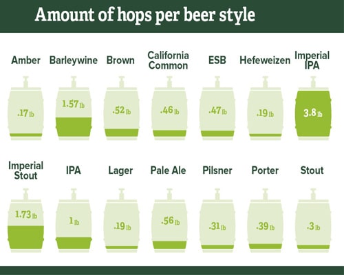Principali sostanze estere nella birra e i loro effetti sul loro contenuto