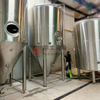 Attrezzatura per la produzione di birra da 700 litri in acciaio inossidabile per uso alimentare migliore attrezzatura per la produzione di birra in vendita