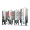 Serbatoio di fermentazione della birra robusta conica in acciaio inossidabile 3000L in vendita