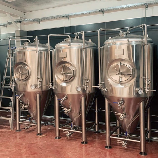 700L Craft Micro Brewery Equipment Sistema completo per la produzione di birra con riscaldamento elettrico/a vapore in vendita